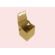 Crash Lock E-commerce Postal Box CL-PLS ( 187x162x152mm ) Crash Lock E-commerce Postal Box CL-PLS ( 187x162x152mm )