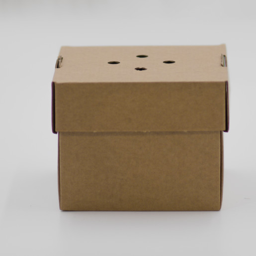 Premium Gourmet Burger Box
